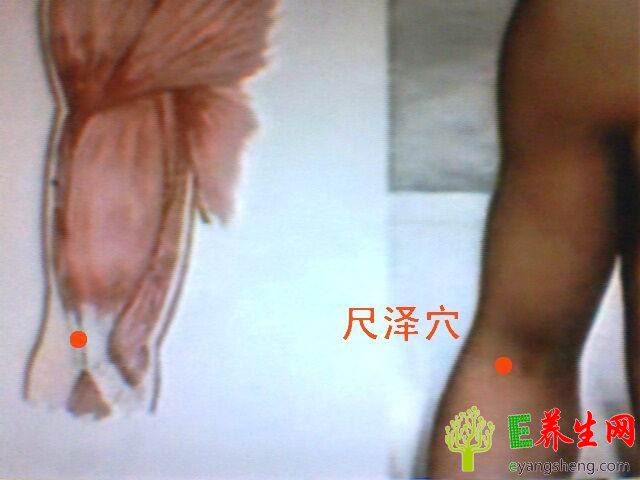 中医养生九大穴位 让你百病不生