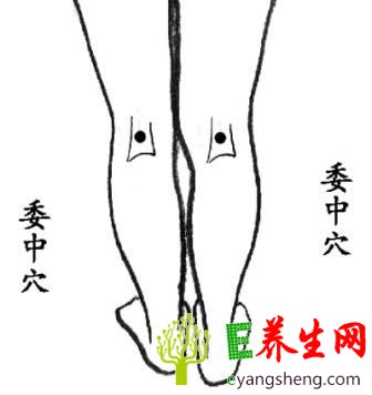 常按摩5个“保健金窝窝” 胜过吃补药