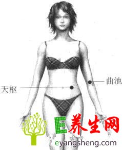 女人要记住十大补血穴位