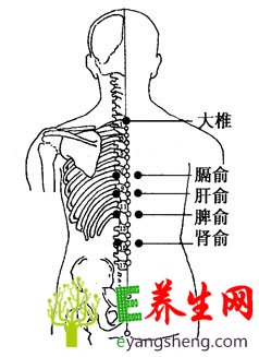 按准女人13处穴位 享受性爱生活