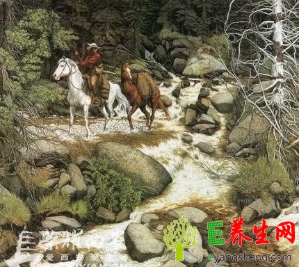 外国诡异心理测试图