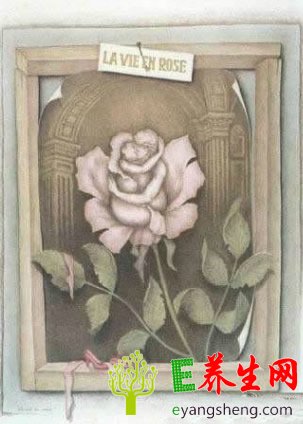 20ԵͼƬ ͸