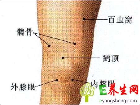 按摩疏经络祛病 常见小病按哪些穴位
