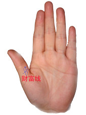 ʮӿ